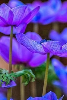 Тебе выбирать, на что смотреть и что видеть.