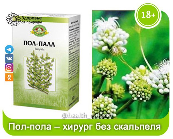 Пол-пола – хирург без скальпеля 