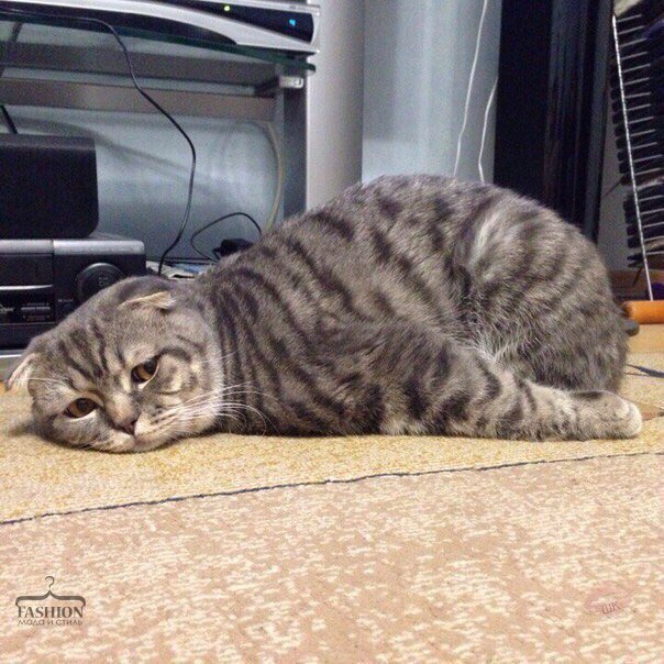 Текущее состояние: