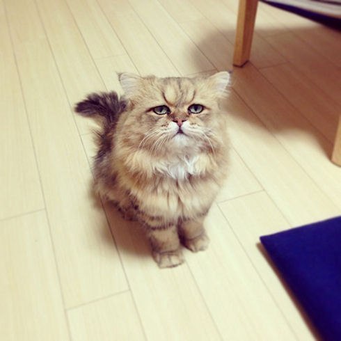 Муж оставил записку: 