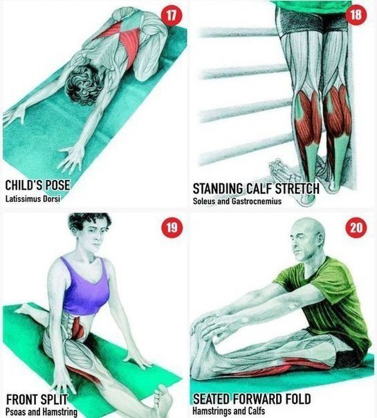 Растяжка всего тела, все наглядно и доступно.