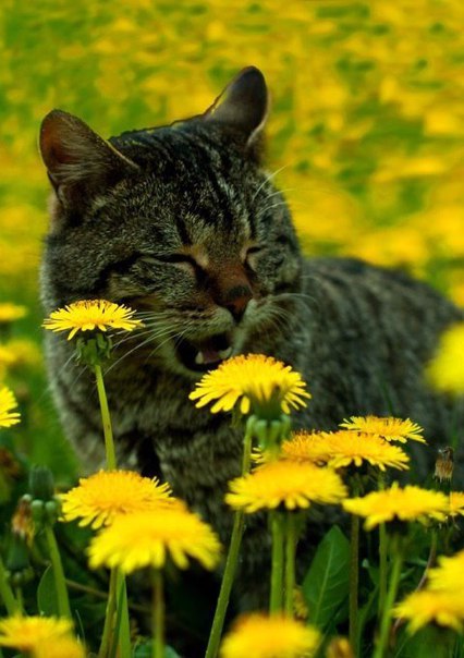 Завтра - всегда новый день, в котором еще нет ошибок.