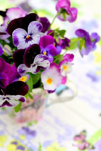 Счастливым можно быть в любое время года. Счастье — это вообще такой особый пятый сезон, который наступает, не обращая внимания на даты, календари и всё такое прочее...