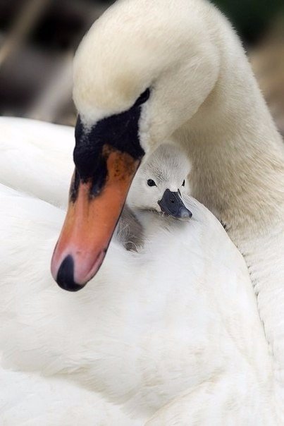 Наслаждайтесь своей жизнью. Ощущайте запахи, слушайте музыку и делайте всё, о чем мечтаете. И ваша жизнь будет лучше, чем любое кино...