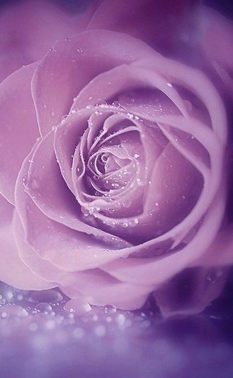 Я желаю тебе счастья, того самого счастья, которое заставляет по утрам подниматься с кровати, того счастья, когда ты знаешь, что ты нужен в этом мире, когда ты знаешь, что тебя ждут.