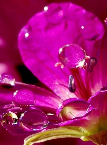 Как день начнёшь, так его и проведёшь. Встречаем новый день с улыбкой Всем доброго утра и отличного дня!!!!!