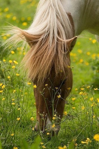 Как бы ни жил человек, ему все равно требуется семья. Семью не заменишь ни деньгами, ни карьерой, ни друзьями.