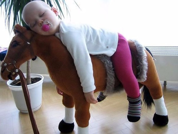 Царевич скакал, скакал и устал...)))