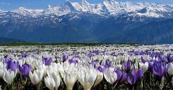 Удивительная музыка...