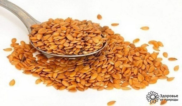 Семя льна - простой метод «генеральной уборки» кишечника 