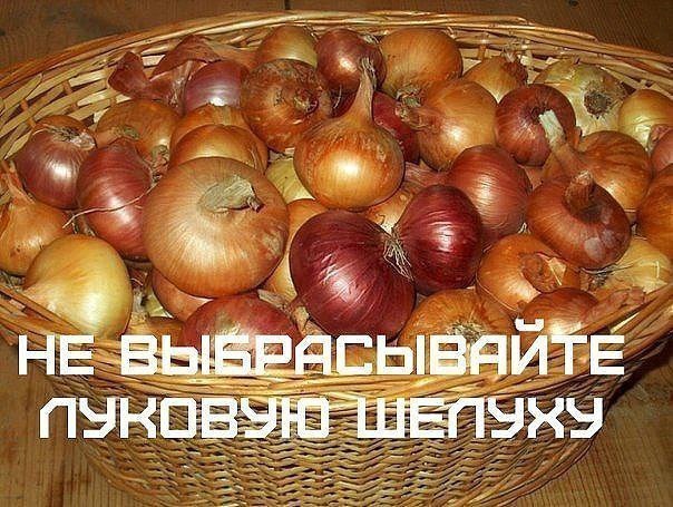 НЕ ВЫБРАСЫВАЙТЕ ЛУКОВУЮ ШЕЛУХУ!