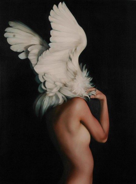 Лондонская художница Эми Джадд (Amy Judd) создала очаровательные образы полуптиц-полуженщин. 