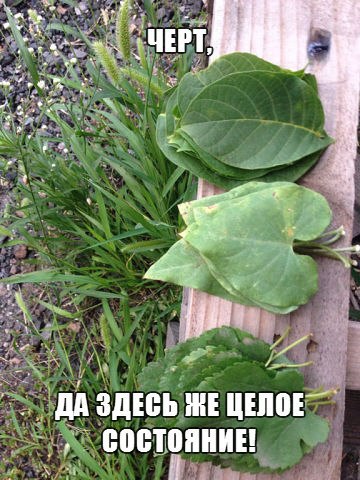 В детстве мы могли купить себе все))
