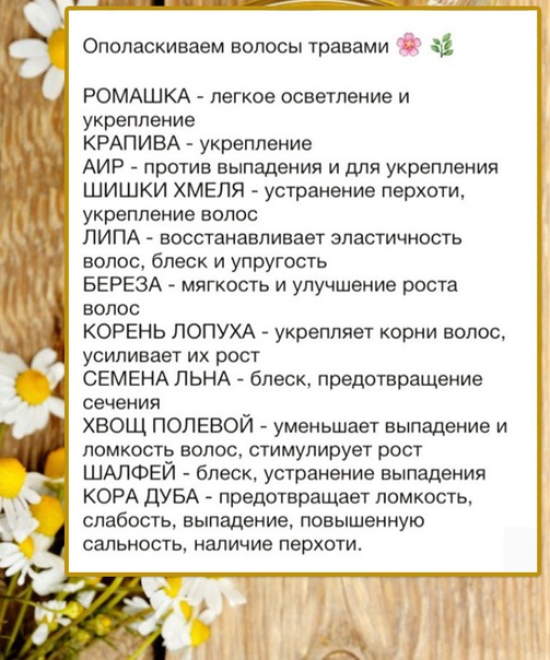 Полезная шпаргалка по травам для волос 
