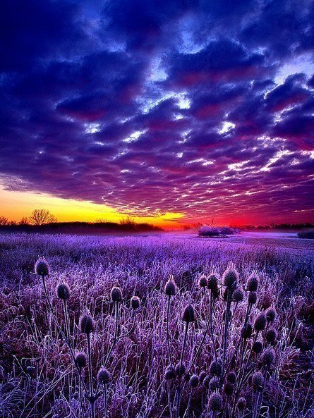 Мир прекрасен. И прекраснее всего — без людей...