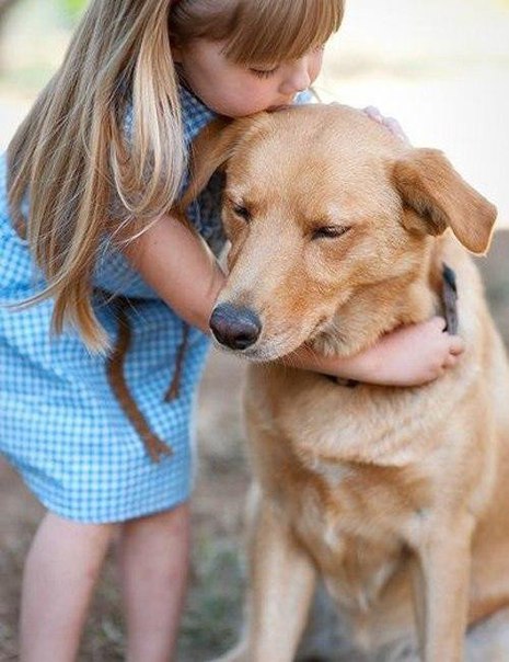 Если ты подберешь голодную собаку и сделаешь ее жизнь сытой, она никогда не укусит тебя. В этом принципиальная разница между собакой и человеком.