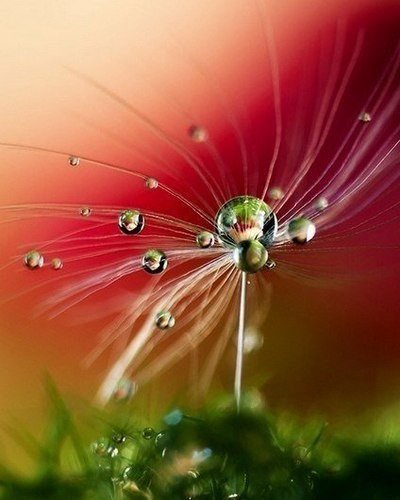 Жизнь слишком коротка и бесценна. Так что вдохновляйся всем, в чем чувствуешь хоть каплю вдохновения.