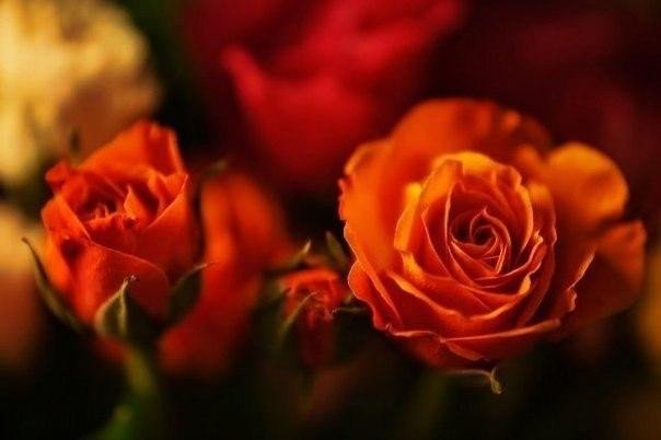 Жизнь — цепь, а мелочи в ней — звенья. Нельзя звену не придавать значенья.