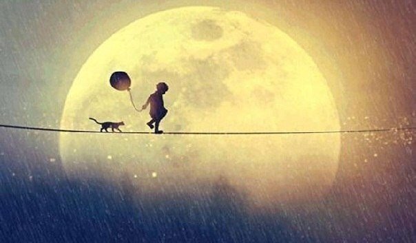 Если у тебя получилось обмануть человека, это не значит, что он дурак, это значит, что тебе доверяли больше, чем ты этого заслуживаешь.