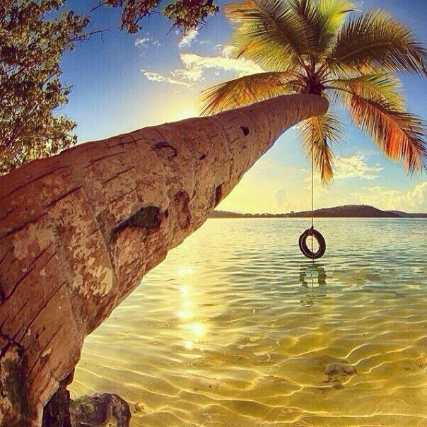 Наведи порядок в мыслях — и увидишь мир другими глазами.