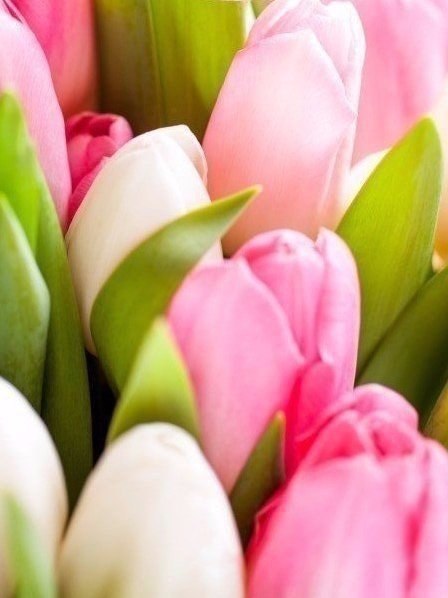 Единственная разница между хорошим и плохим днем - твое отношение к нему. Позвольте этому дню быть хорошим!