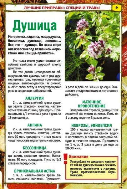 ТАКИХ РЕЦЕПТОВ ВЫ БОЛЬШЕ НЕ НАЙДЕТЕ! 