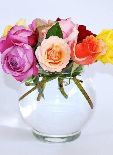 Поскольку настроение всегда бывает разным, то пусть же чередуется — хорошее с прекрасным!!!