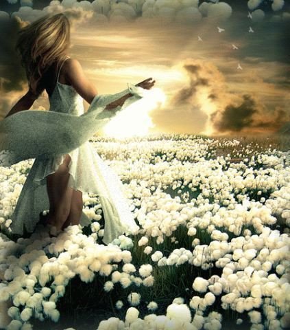 Я спросила однажды у жизни,- Что хорошего мне ты дала И тихонько она отвечала, - Ты достойно все годы жила! Я спросила у жизни еще раз,- Сколько времени можно страдать Отвечая, она улыбалась,- Ты умела с победой шагать! Ты умела быть смелой и сильной! Ты держалась всегда молодцом! Я тебя наградила терпеньем, этим мудрым тяжелым венцом! И я снова спросила у жизни,- Ну, а где ж справедливость тогда И ответив-она засмеялась,- Я тебе подарила года! Я заплакала! Жизнь-ты жестока! Я ведь просто живое дитя! И погладив меня по головке, жизнь ответила, нежно, шутя: ты жила всем на радость всегда, для других бескорыстно трудилась, не щадила себя никогда, и с судьбою покорно смирилась! Я горжусь, что такое сердечко, не смогли одолеть зло и мгла, и все годы, что я подарила,- не напрасно ты их прожила! Ты живи человек мой любимый, я тебя уж в обиду не дам, ты прошла испытания смело, я сейчас тебе мудрости дам! Долго-долго мне жизнь говорила, и жалела и просто ждала, об одном лишь меня попросила, чтоб её не ругала-ЖИЛА!