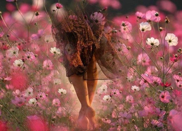 Один важный секрет: нужно идти туда, куда хочет Душа, а не туда, куда якобы надо.