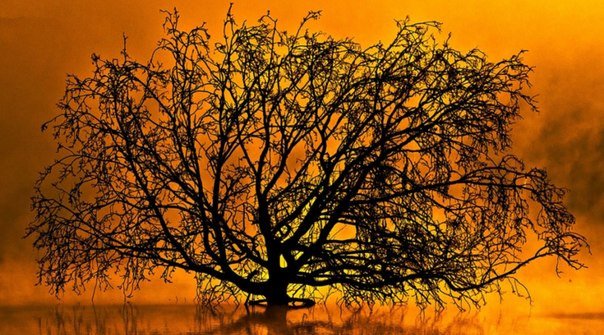 Самая короткая в мире молитва — 