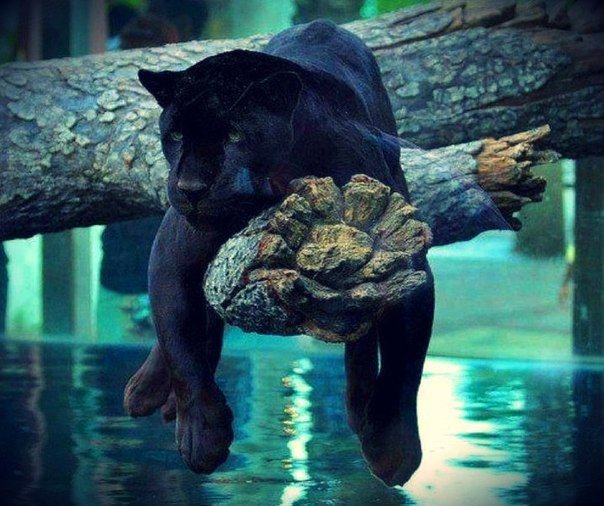 Сколько ни прилагай усилий, все самое интересное случится неожиданно.