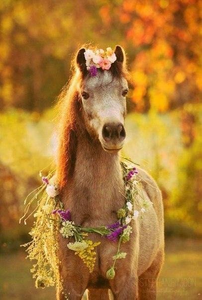 Вчера — это История,