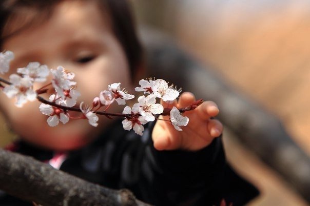 «Первое, что нужно усвоить во взаимоотношениях с другими людьми, — это то, что им нельзя мешать быть счастливыми – так, как они этого хотят».