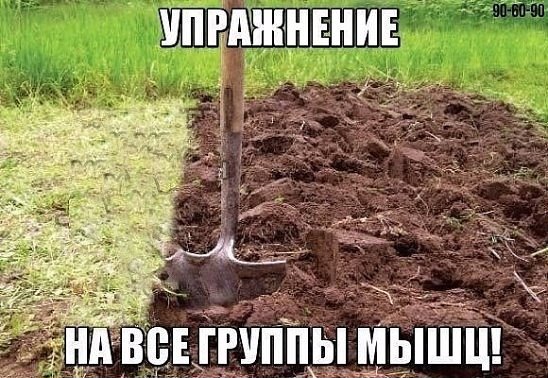 Проверенное)