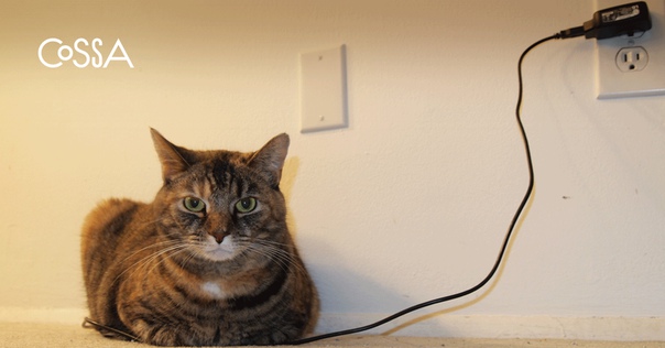 Вся диджитал-одержимость для тех, кто хочет оставаться в теме. Лаконичная подборка главного на Cossa за пару горячих дней  