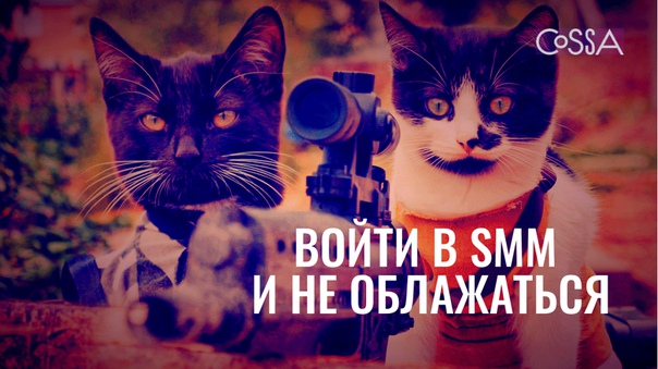 Войти в SMM и не облажаться  