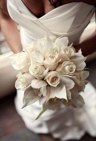 Не верь, когда сказали: «Нету шансов».