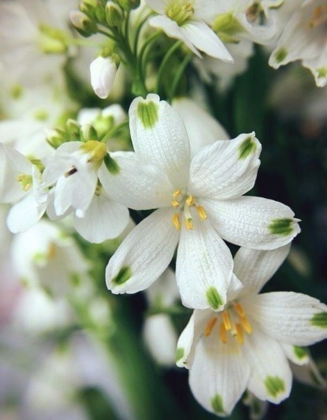 Любовь - это единственное, что делает человека - сильнее, женщину - красивее, мужчину - добрее, душу - легче, а жизнь - прекрасней!