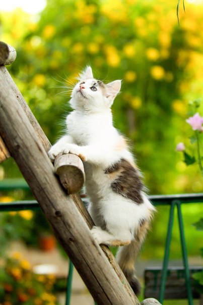 Если ты способен видеть прекрасное, то только потому, что носишь прекрасное внутри себя. Ибо мир подобен зеркалу, в котором каждый видит собственное отражение...