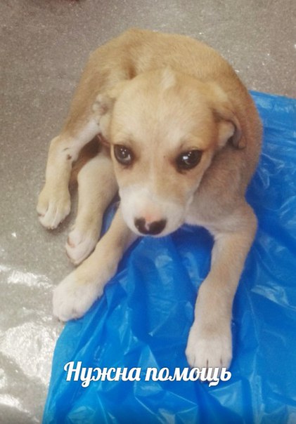 НУЖНА ПОМОЩЬ!