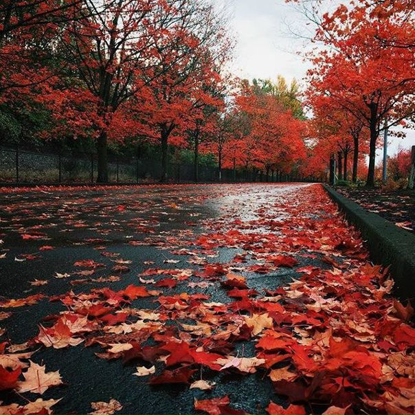 Город кутается в плащи...