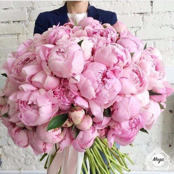 Какая красота! 