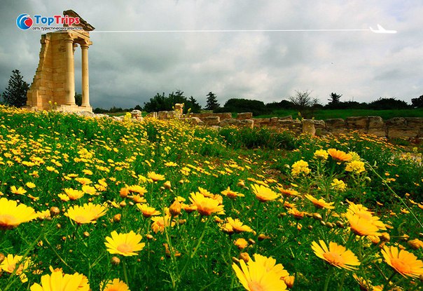 #Выгодное_предложение@toptrips