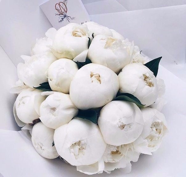 Всё проходит... Весна всегда возвращается...