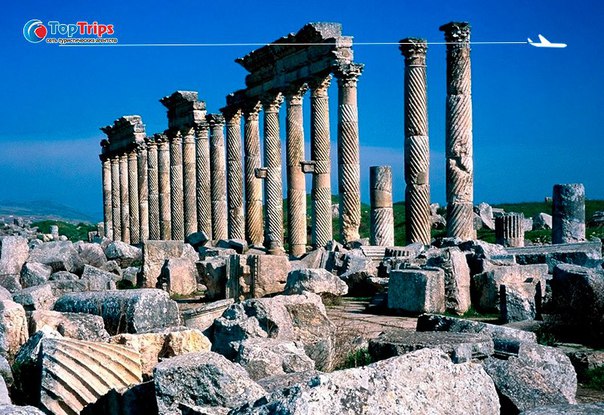 #Выгодное_предложение@toptrips