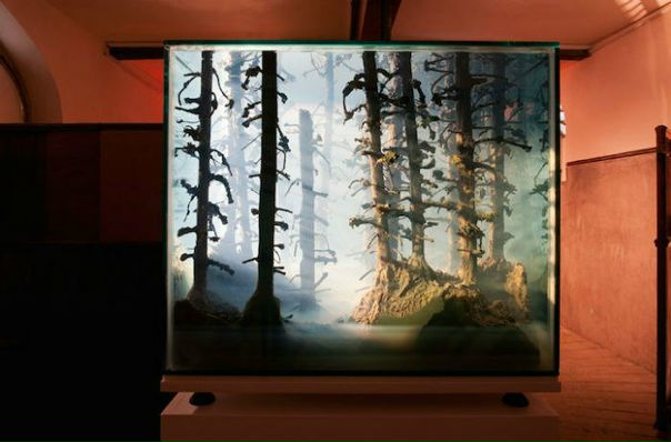 Британская художница немецкого происхождения Мариэль Нойдекер (Mariele Neudecker) отводит центральное место в своём творчестве созданию потрясающих воображение пейзажей в обычных аквариумах. В одном из последних её проектов, серии трёхмерных ландшафтов в замкнутом пространстве Tank Works, химия причудливым образом соединилась со скульптурой.