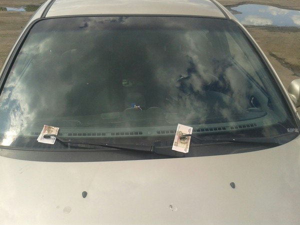 Приехал домой на обед, а дворники кто-то купил.