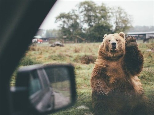 Заезжай братюнь)