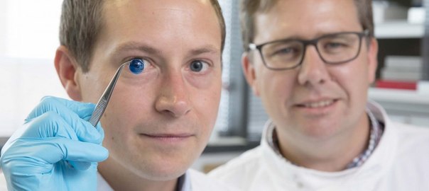 Ученым впервые удалось создать роговицу, схожую с человеческой