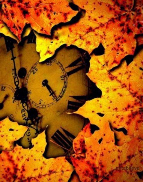 Подборочка в желтых тонах